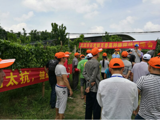 1513319289268079jzLw.png blob.png