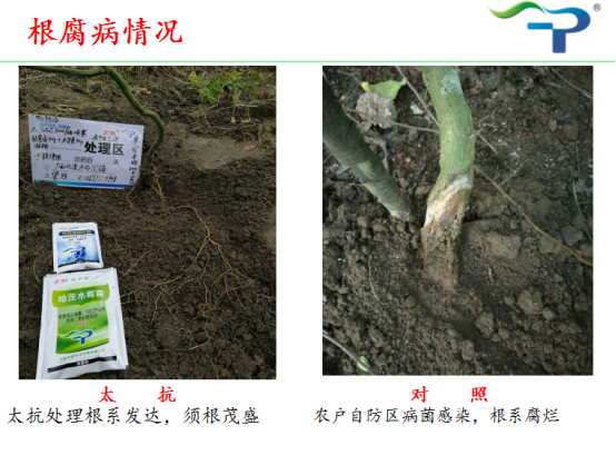 1513319342661644FihE.png blob.png