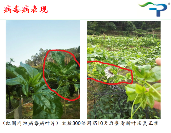 1513319360600949T0XM.png blob.png