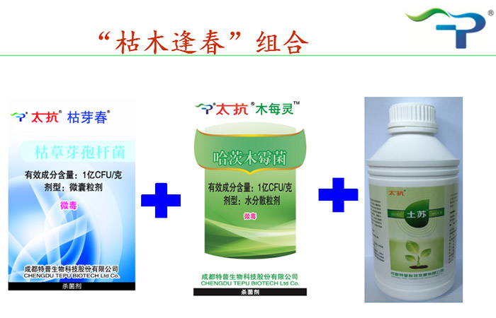 1513331093212993CVRu.jpg 圖片97.jpg