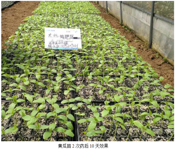 1513331750104445X0A3.png blob.png