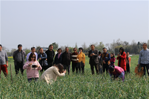 15222865694277610N39.png 圖片6.png