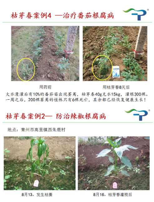 15222870772759510cvG.png 3.png