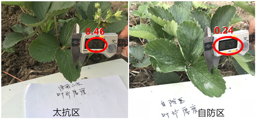 1530085037242290iNmC.png 圖片10.png