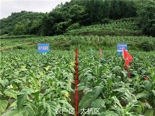 1531213670625028MAGS.png 圖片6.png