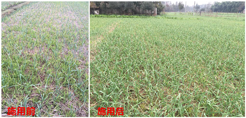 1531213682825631NFXl.png 圖片7.png