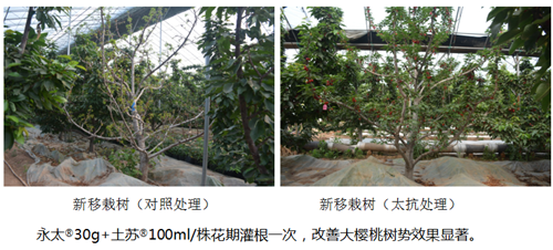 1531215165169348q9mS.png 圖片14.png