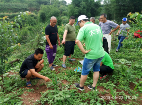 1531280725419020HWfD.png 圖片7.png