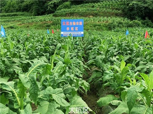 1531293045515340yjE2.png 圖片5.png