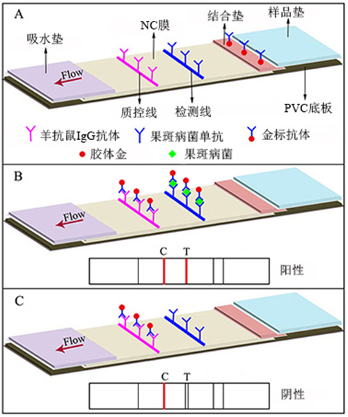 1531901100775130hUAs.png 圖片3.png