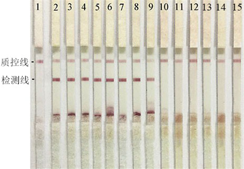 1531901107661711SB74.png 圖片4.png