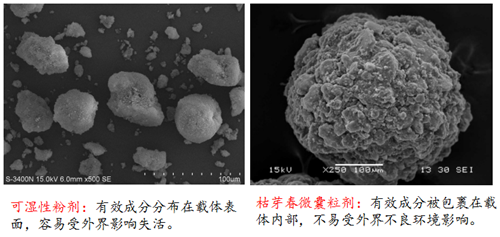 1535336926789585qE6v.png 圖片2.png