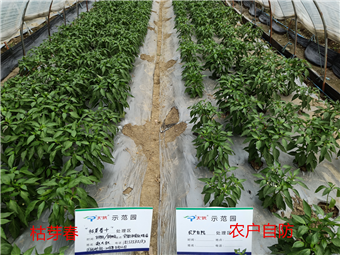 1536627813156904YhUr.png 圖片5.png