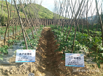 15391630901196438lzs.png 圖片3.png