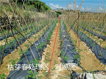 1539163220234113kDTY.png 圖片8.png