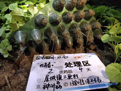 15447555173548164Qg5.png 圖片7.png