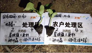 1544755537117596hrAQ.png 圖片9.png