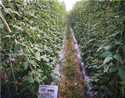 1545295316723589jA7k.png 圖片5.png