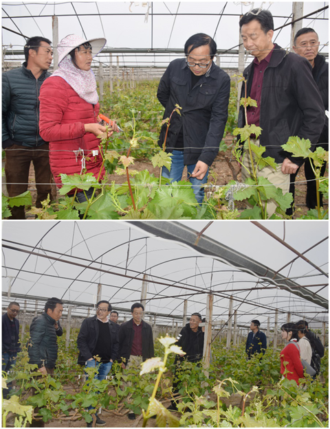 15530473677820990qfX.png 圖片12_副本.png