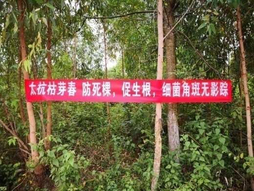 1554774076356912Exm8.png 圖片12.png