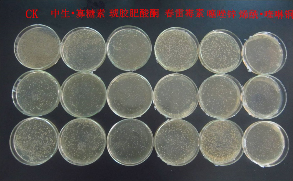 1554774259448522OqtS.png 圖片14.png