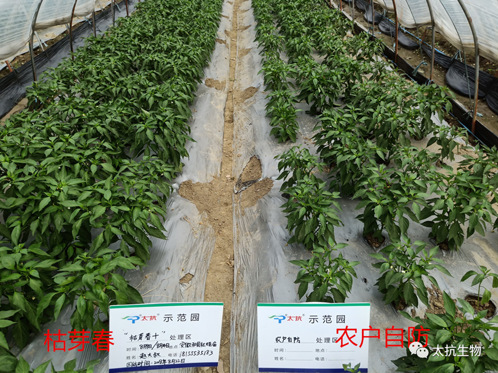 1554774318819100WMSU.png 圖片17.png