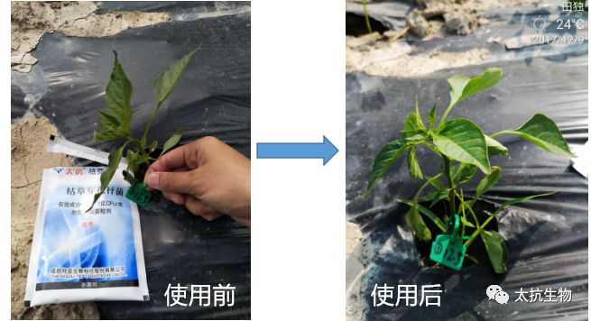 15547743606721102LSz.png 圖片18.png