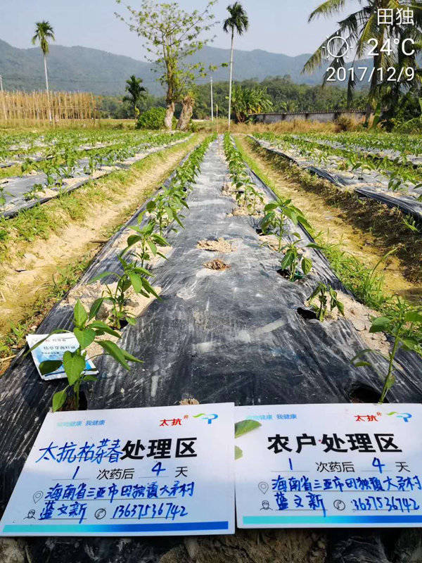 1554774514781878D5kh.png 圖片19.png