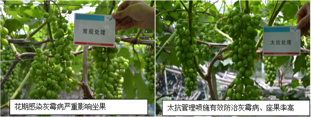 1555051310986783bxQ9.jpg 圖片3.jpg