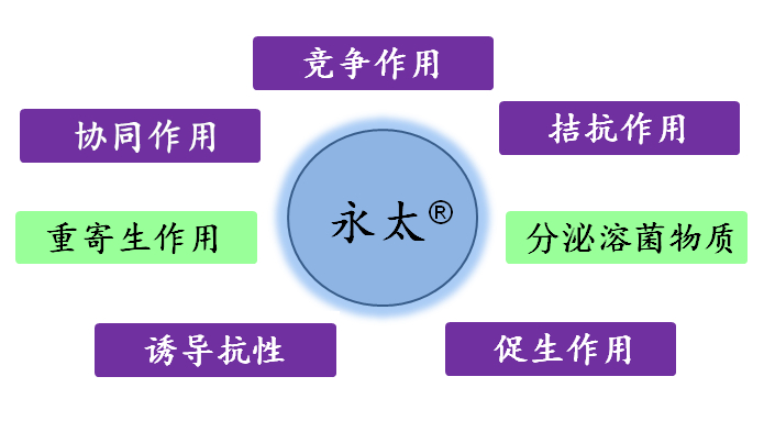 1555054146971372muEj.png 圖片2.png