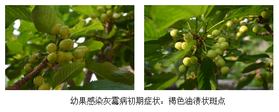 1555054224188822n7Qm.png 圖片7.png