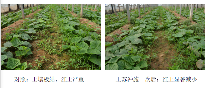 15559907981676036gIG.png 圖片8.png