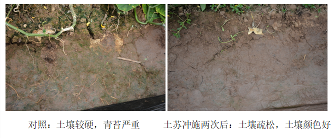 15559908515652018Bj8.png 圖片12.png