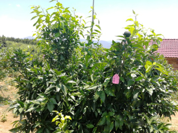 1557820769267093Wjde.png 圖片12.png