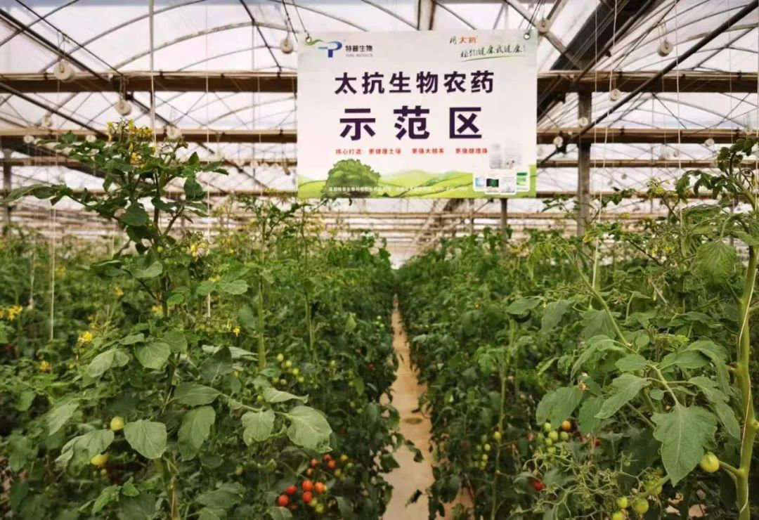 15724246614971607km9.png 圖片4.png