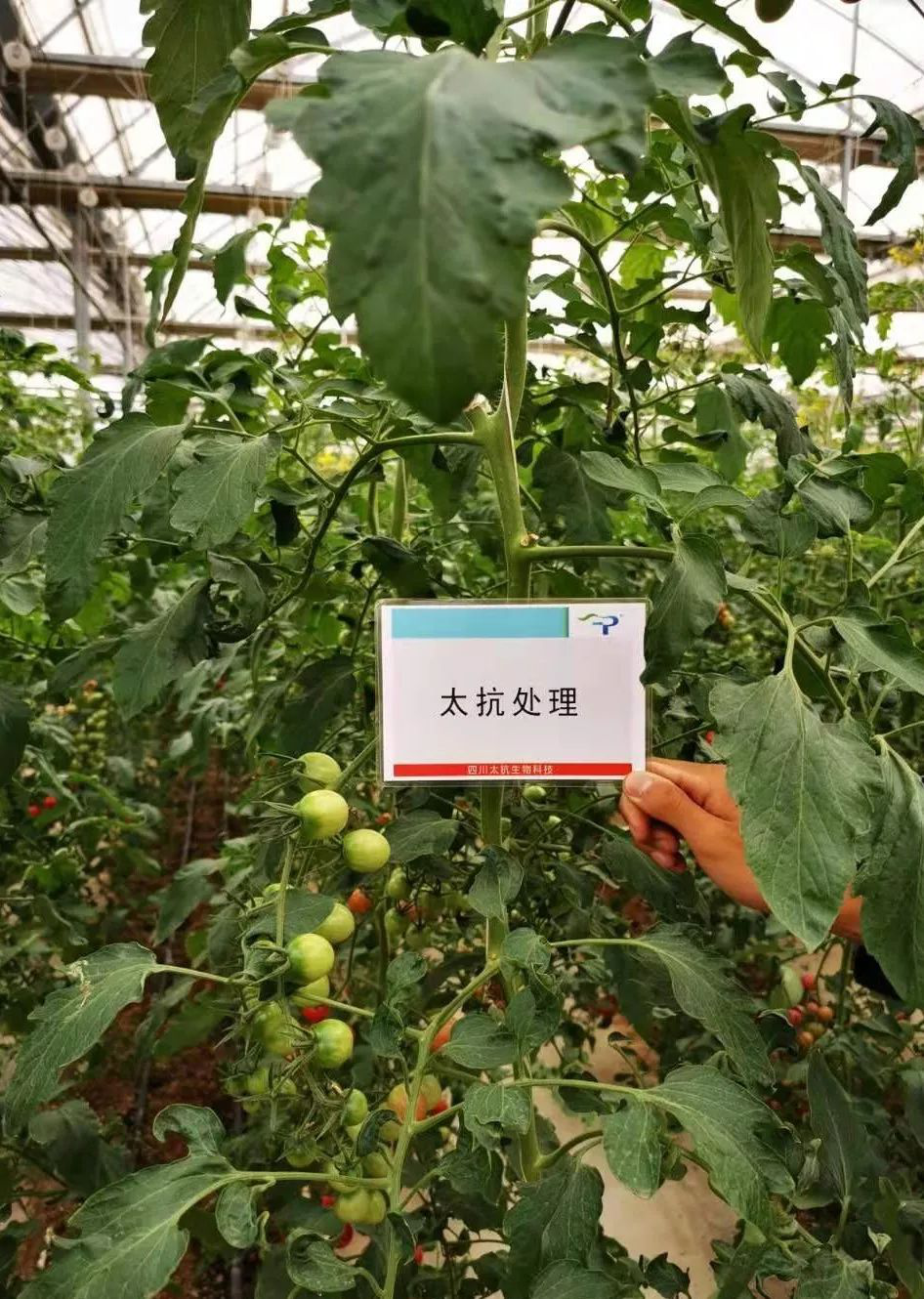 1572424730867289ztKv.png 圖片6.png