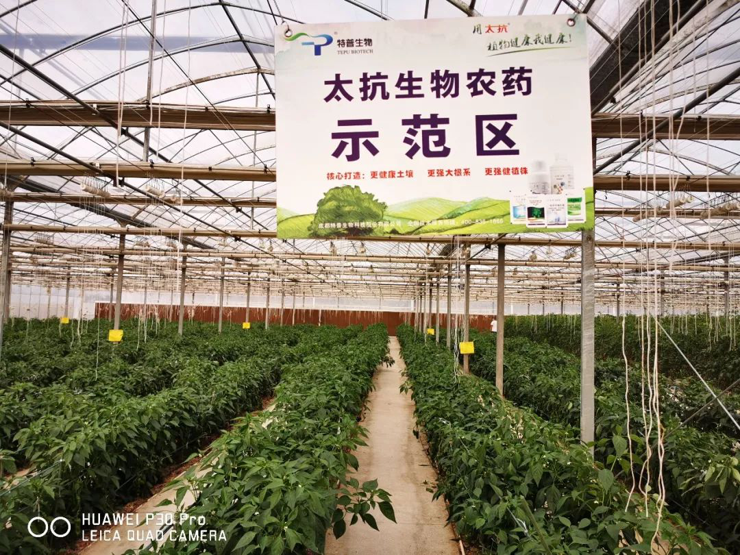 15724248717458035mn5.png 圖片10.png