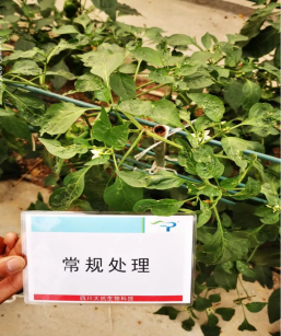 15724249186599793Nzn.png 圖片12.png