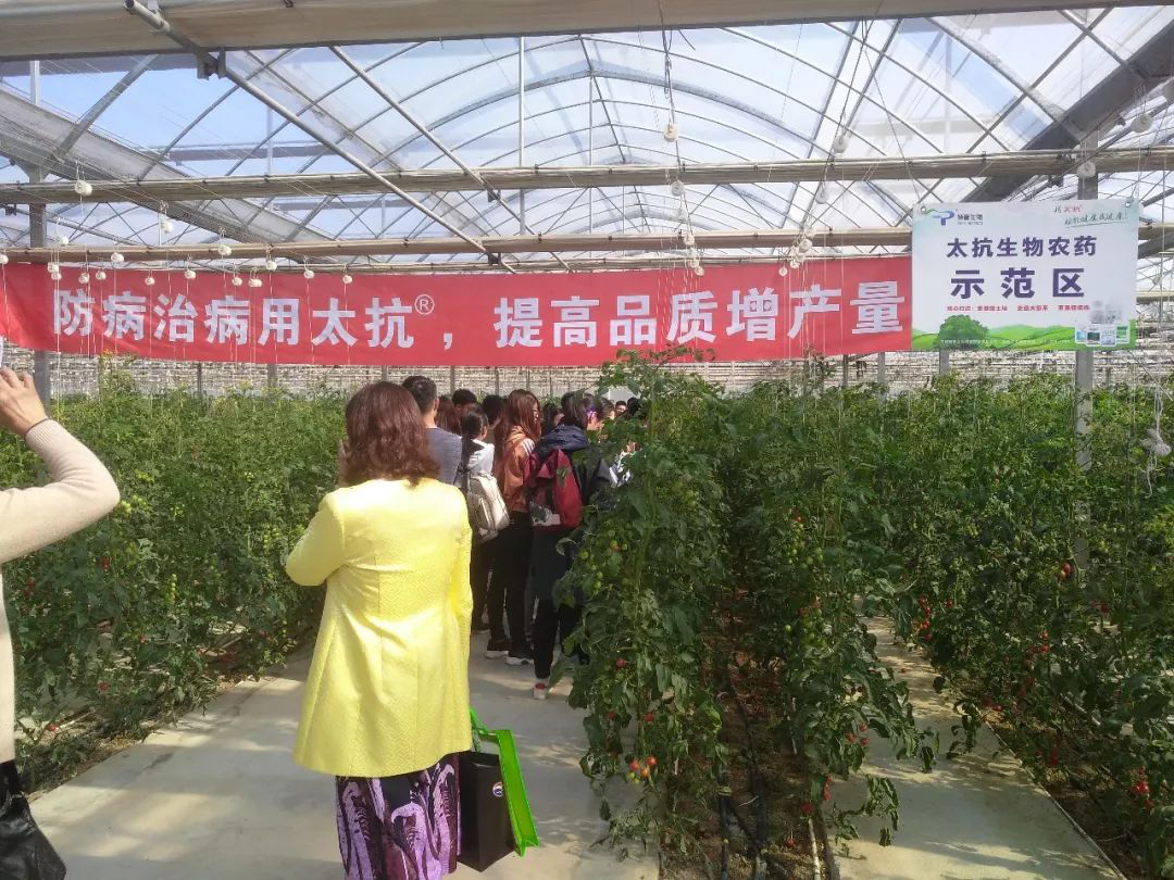 1572425764128847pJIy.png 圖片20.png