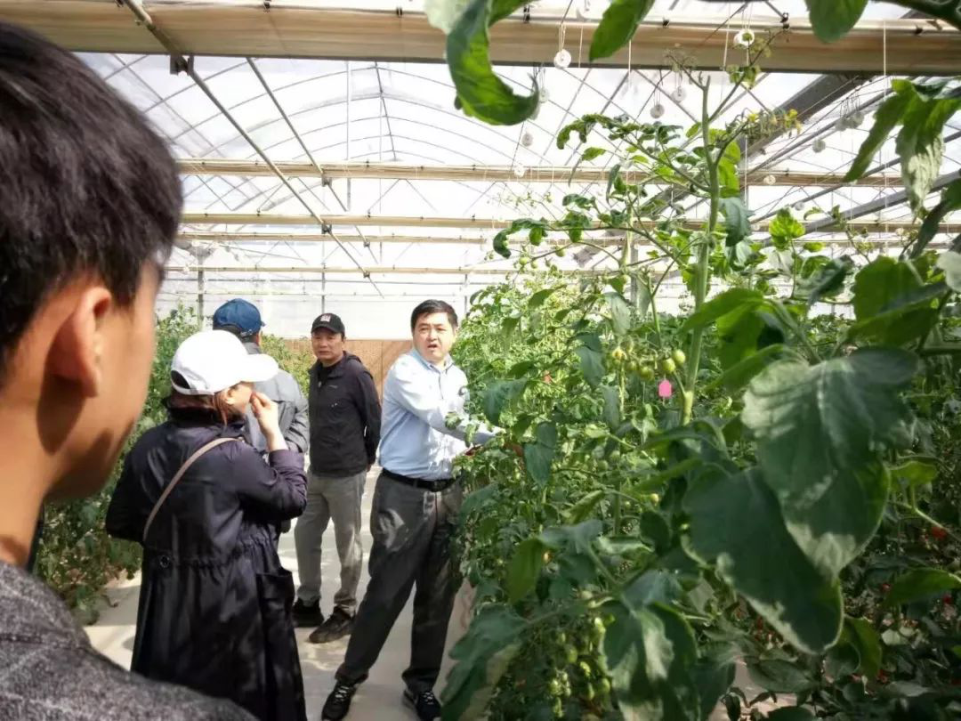 1572425951451546E1Hg.png 圖片21.png