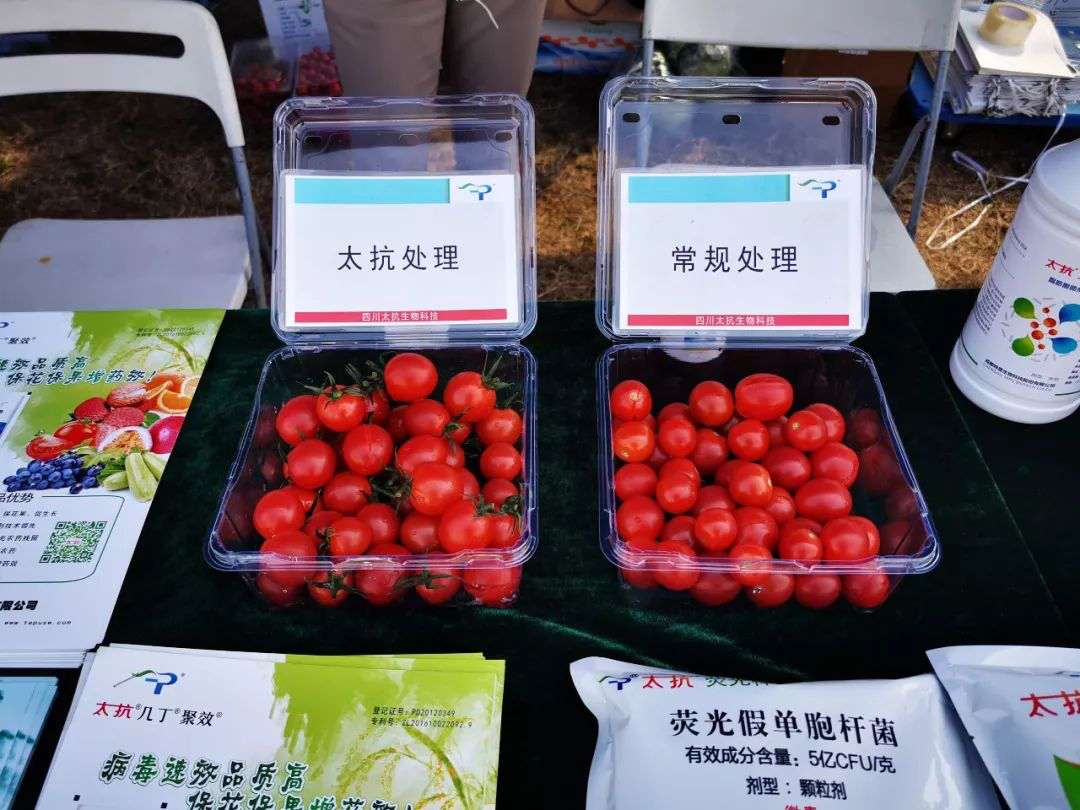 1572426018423357QL0X.png 圖片23.png