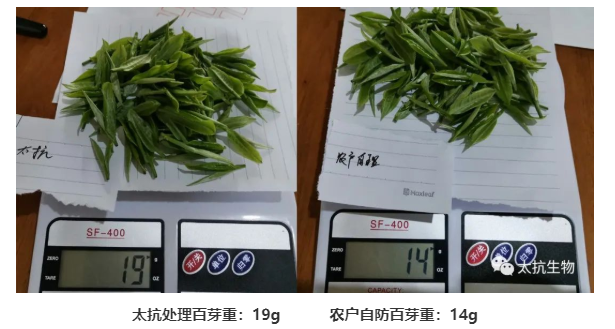 1587374195553169bROB.png image.png