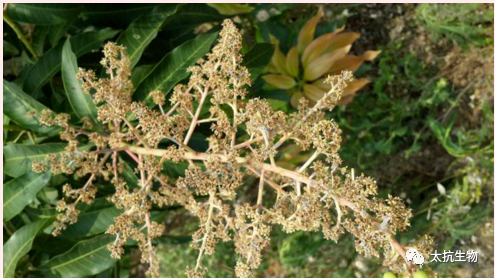 1587375366265602ZqwP.png image.png