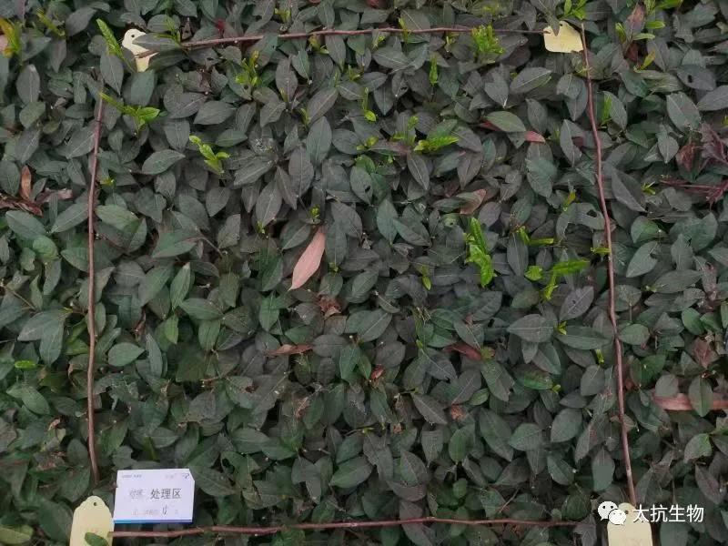 1634398768593670z0mJ.jpg 微信圖片_20211016230455.jpg